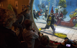 Baptême de plongée avec le père Noel