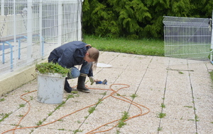 Le désherbage manuel de Fofie. Il ne reste pas un brin d'herbe