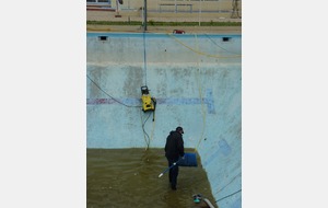 Notre JJ s'est transformé en sauveur pour toutes les grenouilles qui avaient passées l’hiver dans notre piscine.