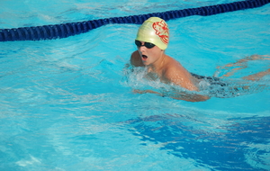 5b7a952d5c745_DSC1012.JPG