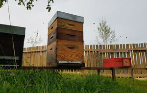 Miel d'été - pot de 500g