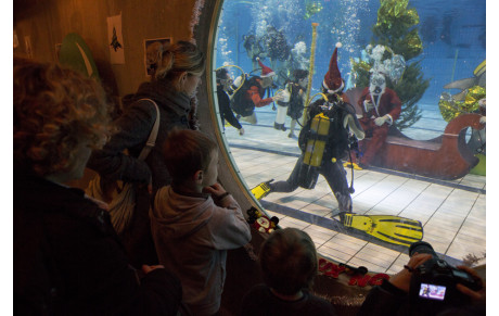 Baptême de plongée avec le père Noel